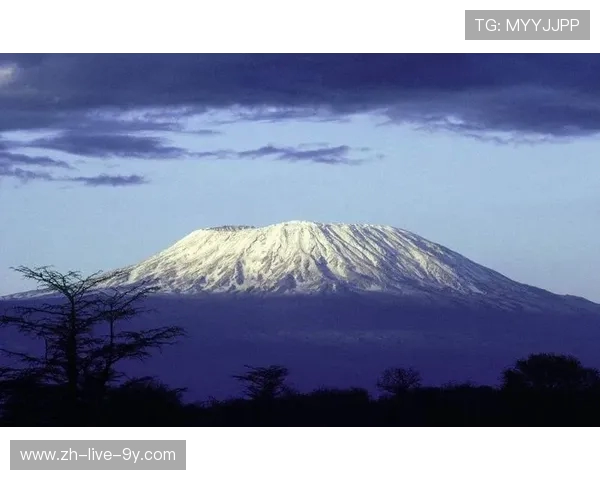 刘秀英亲述攀岩技巧与心得体会助你轻松征服高峰 刘秀英亲述攀岩技巧与心得体会助你轻松征服高峰