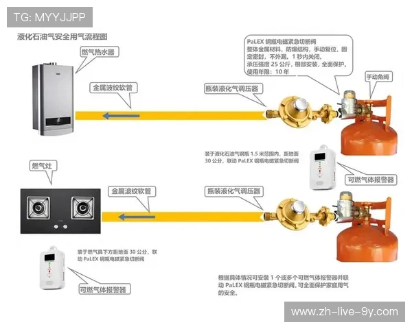 数据分析视角下液化天然气市场意识与趋势的深度探讨与解读