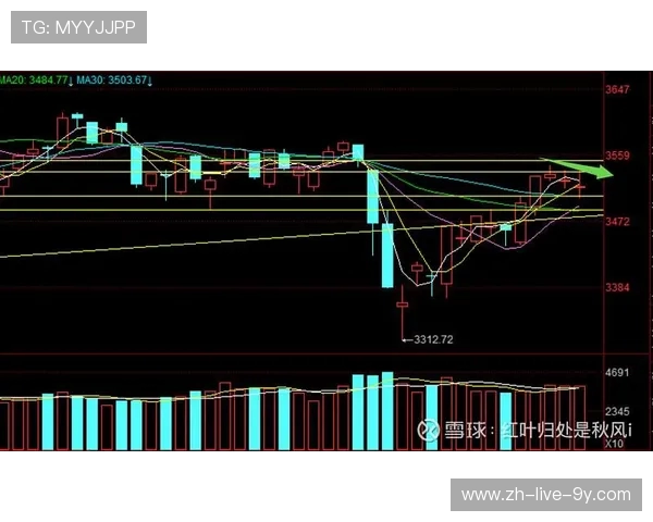武汉羽毛球队与广州羽毛球队赛后复盘分析比赛节奏与战术对比
